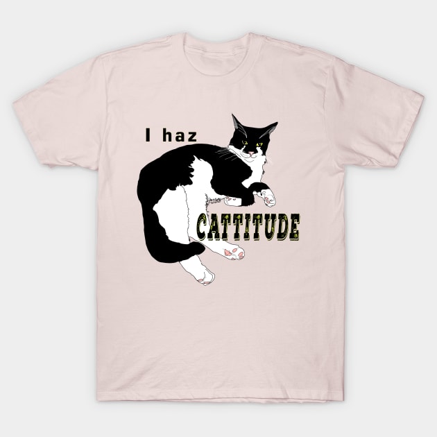 Cute Tuxedo Cat I haz attitude Copyright TeAnne Tuxedo Cat T